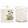 KOBO Catalan Calendula Scented Candle with Plantable Box (9 oz)   Plant The Box Collection, 100% Pure Soy Wax Candles   Hand-Poured in USA   Long Lasting 60 Hour Burn   Scented Candles for Home