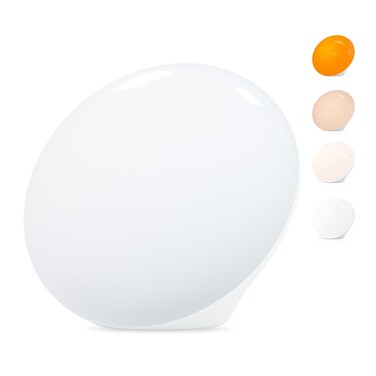 LASTAR Sun Lamp, 10,000 Lux Sunlight Lamp with 4 Color Temperatures &amp; 5 Brightness &amp; 1H Timer, Touch Control Daylight Lamp with Memory Function for Home
