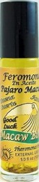 Macaw Bird Pheromone (Feromnas En Aceite)-Roll on Perfume Oil 10ML
