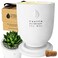 Matani Concrete Cement Candle Planter - Aromatherapy Candles for Home Scented, Soy Candles - Scented Candle &amp; Dual Purpose Jar Candles, Strong Scented Candles - Parent (White Vanilla)