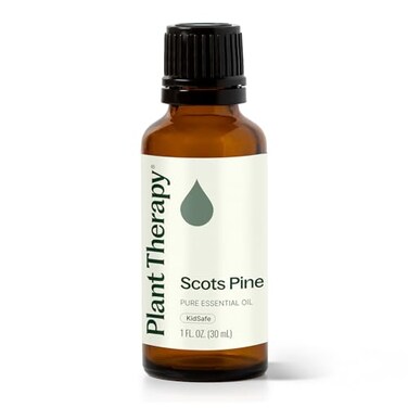 Plant Therapy Scots Pine Essential Oil 30 mL (1 oz) 100% Pure, Undiluted, Therapeutic Grade