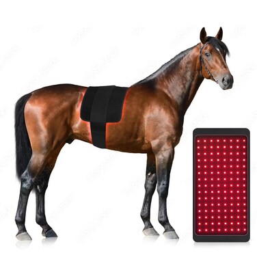 Red Light Therapy Pad for Horses, Near Infrared Light with Adjustable Intensity and Time, Cordless Use with Adjustable Straps, Suitable for Horses, Dogs, Cats HGYD-01