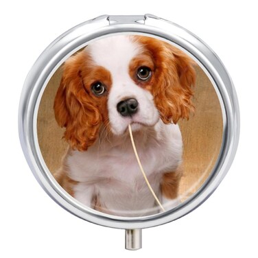 Round Metal 3 Compartment Pill Box, Small Pill Holder for Travel - Dog