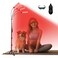 Upgrated Red Light Therapy Lamp for Body,625/660/850/940nm Infrared Light Therapy with Wireless Remote,192LEDs Near Infrared Light Device with Timer,4-in-1 Chip Designed Red Light for Home/Office Use