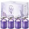 WarmEmbrace Lavender Candles for Home Scented, 30.4 oz Aromatherapy Candle, Purple Jar Candles, Natural Candles for Women, 160 Hour Long-Lasting Burn Scented Candles for Birthday - 4 Pack