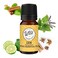 Wild Essentials 100% Pure Therapeutic Grade Zen Essential Oil Blend Combo for Aromatherapy Diffusers - 10ml - Calming, Meditative, Stress, Made in The USA