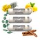 Wild Essentials 3 Pack of Quit Smoking Aromatherapy Nasal Inhalers Made with 100% Natural, Therapeutic Grade Essential Oils to Help You Kick The Habit and Quench The Cravings