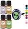 Wild Essentials I Believe In You Car Vent Essential Oil Diffuser Kit With Lavender, Lemongrass, Peppermint, Orange Oils, 8 Refill Pads, Calming Aromatherapy Gift Set, Customizable, Perfume