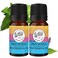 Wild Essentials Patchouli 100% Pure Essential Oil 2 Pack - 10ml, Therapeutic Grade, Made and Bottled in The USA, Relaxing, Grounding