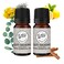 Wild Essentials Quit Smoking 100% Pure Essential Oil Synergy Blend 2 Pack - 10ml, Premium Grade, Use tor Help Quench Cravings The Natural Way! Made and Bottled in The USA