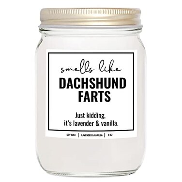 You Nique Designs, Dachshund Candle, 8 Oz, Dachshund Gifts for Women, Weiner Dog Gifts, Daschund, Wiener Dog, Daushaund, Dashound, All Natural Soy Vegan Aromatherapy Candles (Lavender &amp; Vanilla)