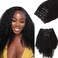 Lashey Afro Kinky Curly Seamless Clip in Hair Extensions Human Hair 24 Inch 110g 7pcs Remy Human Hair Extension Clips for Black Women