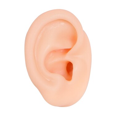 Silicone Left Ear Model, Piercing Practice Body Parts Model, Soft Ear Display Model for Piercing Practice Acupuncture Jewelry Display Teaching