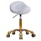 Saddle Stool Gold Rolling Stool with Wheels, PU Leather Roller Vanity Chair, Height Adjustable Swivel Saddle Chair for Pedicure, Tattoo, Massage, Salon, Spa (White)