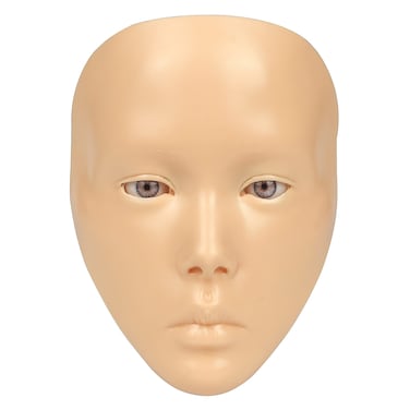 Makeup Practice Mannequin Face, 5d Reusable Silicone Makeup Practice Board Full Face with Makeup Brushes Sponge Set and Eyeshadow Board Makeup Kit for Makeup Artist, Girl's Gift Or Professionals