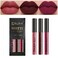 evpct 3Pcs Dark Red Purple Matte 24-hour Liquid Lipstick Sets,DNM Matte Lipstick Lip Stain Long Lasting 24 Smudge Waterproof Lip Gloss Gift Set Matt Lipsticks Set Matt Liquid Women Makeup Lipstick 06