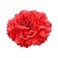 Boho Peony Flower Hair Clip for Fashion, Party &amp; Wedding, Orange-red, Women's Hair Accessory, 11 cm (width) x 2 cm (height)