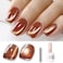 Double Rhythm 15ML Ice Glass Cat Eye Gel Polish with Magnet Holographic Glitter Shimmer Translucent Sheer Color Salon Soak Off Magnetic Nail at Home (Tea Gold-MC1123)