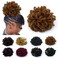 Brown Loc Petal Bun Faux Locs Ponytail Drawstring Buns for Black Women Curly Dreadlock Ponytails Afro Braided Locs Clip in on Hairpieces(30)