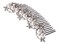 Alilang Bridal Hair Comb Crystal Rhinestone Flower Pearl Wedding Hair Accessories