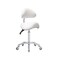Saddle Stool Rolling Chair with Back Support,Esthetician Tattoo Dental Stool Chair,Lash Chairs for Eyelash Tech Massage Salon(White,with Backrest)