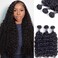 Amella Hair Brazilian Human Hair Water Wave 3 Bundles Wet and Wavy (12 14 16Inch) 100% Unprocessed Virgin Ocean Wave Bundles Human Hair Extension Natural Black