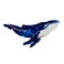 Whale Hair Clips,Cellulose Acetate Hair Clips,Small Claw Clips for Girl,Hair Accessories for Women,Blue
