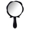 Teensery 2 Pcs Plastic Hand Mirror Rose Flower Shaped Travel Handheld Mirror Makeup Mirror for Women Girls, Black