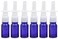6PCS 10ml/0.34oz Empty Glass Nasal Spray Bottles Cosmetic Fine Mist Sprayers Dispensing Cleanser Container Travel Size Container for Nasal Spray Wash Perfumes (Blue)