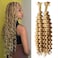 P27/613 Blonde Human Braiding Hair for Boho Braids - Deep Wave, Micro Crochet, Curly - Bulk Hair, Wet and Wavy Highlight - 100 Grams (2 of 50g) - 16 inch