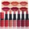 6 Pcs Brown Nude Pink Purple Red Matte Lipstick Sets,Wine Lipstick for Women Longlasting,labiales magicos 24 horas originales,Long Lasting 24 hrs Waterproof Lipstick Pack,labiales mate