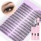 Wispy Lash Extension Kit Natural Lash Clusters Kit C Curl DIY Eyelash Extensions Kit 252 pcs Individual Lashes Clusters Wispy Eyelash Clusters with Lash Bond and Seal at Home Cat Eye Cluster