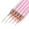 Nail Art Liner Brushes, 5PC Nail Brushes for Nail Art Detail Liner Brushes Thin Nail Art Designs Brush Pen Set Nails Gel Polish Painting Pink Metal Handle, Sizes 4/8/12/20/25mm