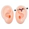 Silicone Ear Model for Piercing Practice, Left and Right Soft Flexible Fake Ear for Jewelry Display, Professional Training Aid, Pair