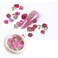 AKOAK 3 Boxes 3D Flower Nail Stickers, Wood Pulp Nail Art Charm, Holographic Simulation Flower Pulp Nail Art Charm, Color Mixed Natueal Flower Leaves Design Nail Decals DIY Craft Wood Pulp Pieces