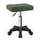 FURWOO Rectangle Rolling Stool with Wheels Height Adjustable Swivel Stool Chair for Spa Salon Massage Green