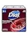 Dial Glycerin Soap Bars with Power Berries Raspberry Pomegranate Cranberry 12 Oz