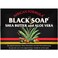 Madina African Black Soap Shea Butter and Aloe Vera 35 oz Pack of 10