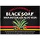 Madina African Black Soap Shea Butter and Aloe Vera 35 oz Pack of 10