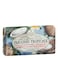 Nesti Dante Paradiso Tropicale Triple Milled Natural Soap St Barths Coconut and Frangipani 88 Ounce