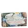 Nesti Dante Paradiso Tropicale Triple Milled Natural Soap St Barths Coconut and Frangipani 88 Ounce