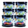 Treefrog Classic Air Freshener Treefrog Air Freshener Squash Scent TR21S Qty 6 Cans