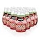 Renuzit 1717587 Blissful Apple Cinnamon Adjustable Gel Air Freshener 7oz Cone Pack of 12