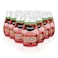 Renuzit 1717587 Blissful Apple Cinnamon Adjustable Gel Air Freshener 7oz Cone Pack of 12