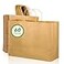 Woric 60 PCS Brown Paper Bags with Handles 16 x 6 x 12 inch Large Gift Bags MultiPurpose Solid Brown Uncoated Paper 60 Count