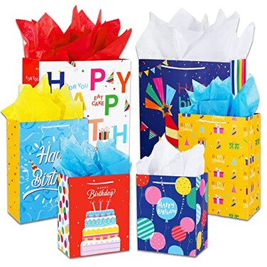 Plauthus Birthday Gift Bag with Handle and Tissue Paper 12 Pcs Gift Bags Assorted Sizes and Designs Large Medium Small Size Birthday Gift Bag for Boys Girls 13 9