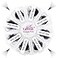 FADLASH Lash Extension 1000 FansTray Mixed Premade Fans Eyelash Extensions D Curl Promades Eyelash Volume Lash Extensions Loose Fans Pre Made Volume Lashes Pointed Base 10D007D 1118mm