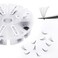 WENDY LASHES Volume Lash Extensions 10D Premade Fans Eyelash Extensions 500 PCS 007mm Thickness 916mm Mixed CD Curl Short Stem Premade Pointed Base Fans by 500PCS10D007C 916mm Mixed Tray