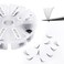 WENDY LASHES Volume Lash Extensions 10D Premade Fans Eyelash Extensions 500 PCS 007mm Thickness 916mm Mixed CD Curl Short Stem Premade Pointed Base Fans by 500PCS10D007C 916mm Mixed Tray