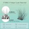 VYRILA Lash Clusters 144pcs Individual Lashes 3D Wispy Lashes Clusters 01mm Super Thin Band Resuable Natural LashesD Curl Faux Mink Lashes 005mm Lash Extension Green HushD005816mix